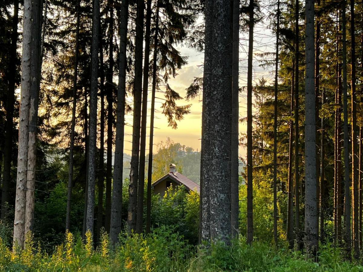 Apartalala, Apartament Z Ogrodem Karpacz Esterno foto